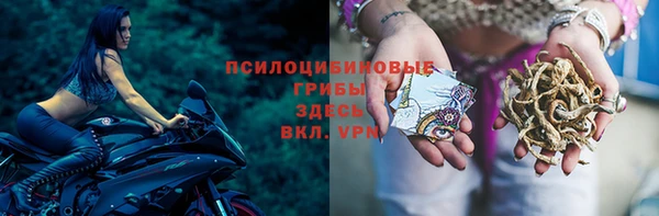 а пвп мука Армянск