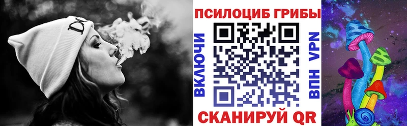 Псилоцибиновые грибы Psilocybine cubensis  Полесск 